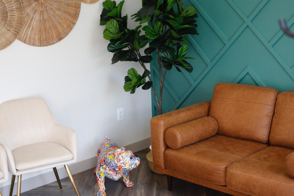 Bethesda Dental Associates dentist